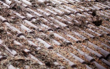 Grasmere roof cleaning companies